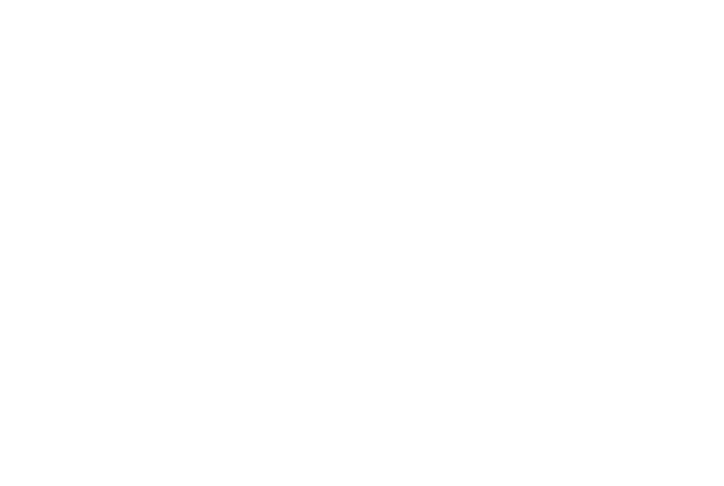 The Plotted Pixel